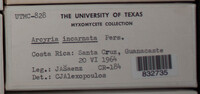 Image Associated With the Occurence